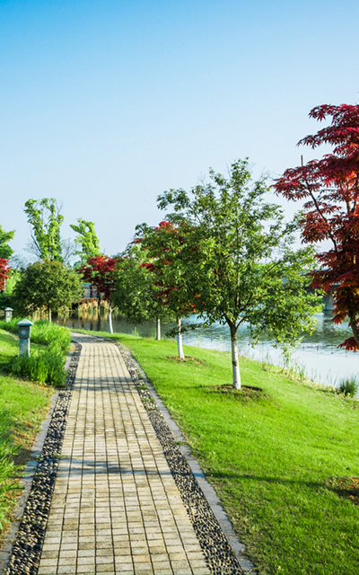 30% Plot Area dedicated to park