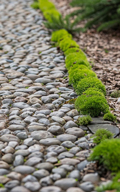 STP and rainwater harvesting recharges groundwater level