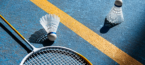 Badminton Court