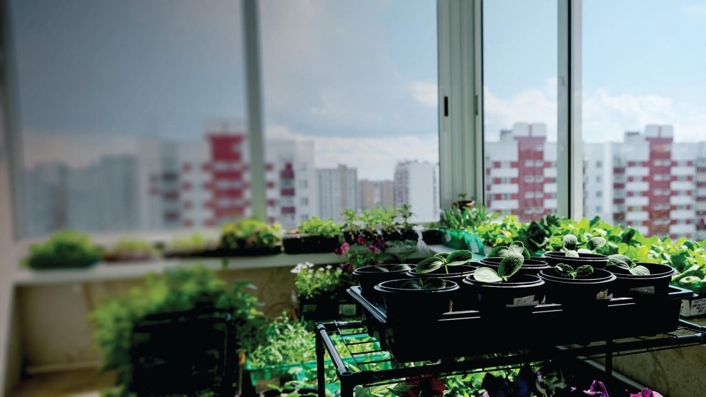 Nature at Home: Balcony Garden Ideas for Urban Living