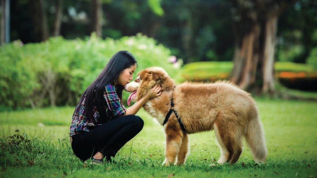 A Comprehensive Guide for Pet Ownership in Bangalore