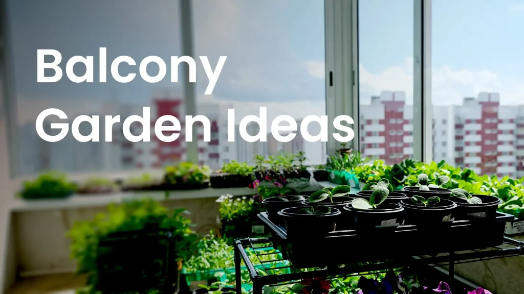 Nature at Home: Balcony Garden Ideas for Urban Living