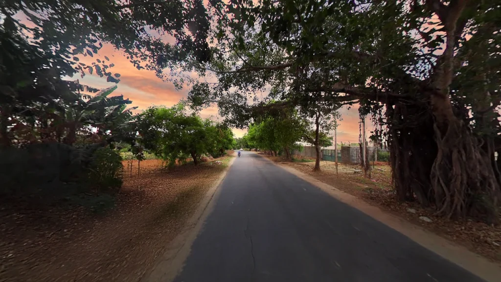 Chikka Tirupathi-Sarjapur: Price Trends & Investment Guide 2026